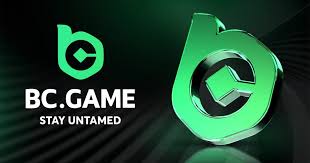 The Rise of BC.Game Betting Platform in India